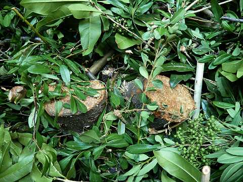f0051915_18274348.jpg