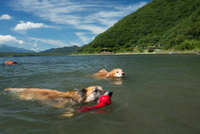 水泳部2012　４回目　みんなで楽しく♪_e0192921_17324439.jpg