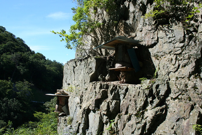 f0193521_1848484.jpg