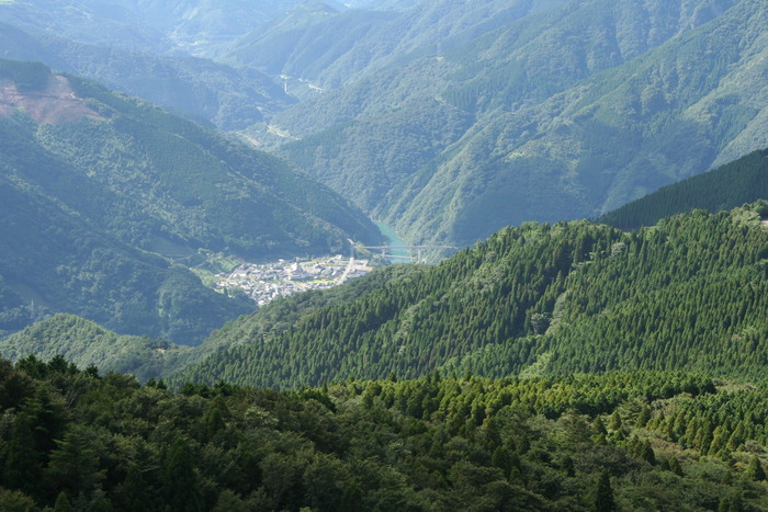 f0193521_18705.jpg
