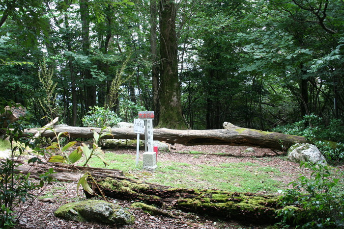 f0193521_1963081.jpg