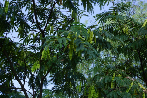 b0251423_19491661.jpg