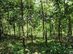 f0022024_10514721.jpg