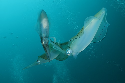 f0206424_9262122.jpg