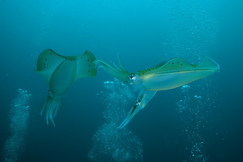f0206424_926973.jpg