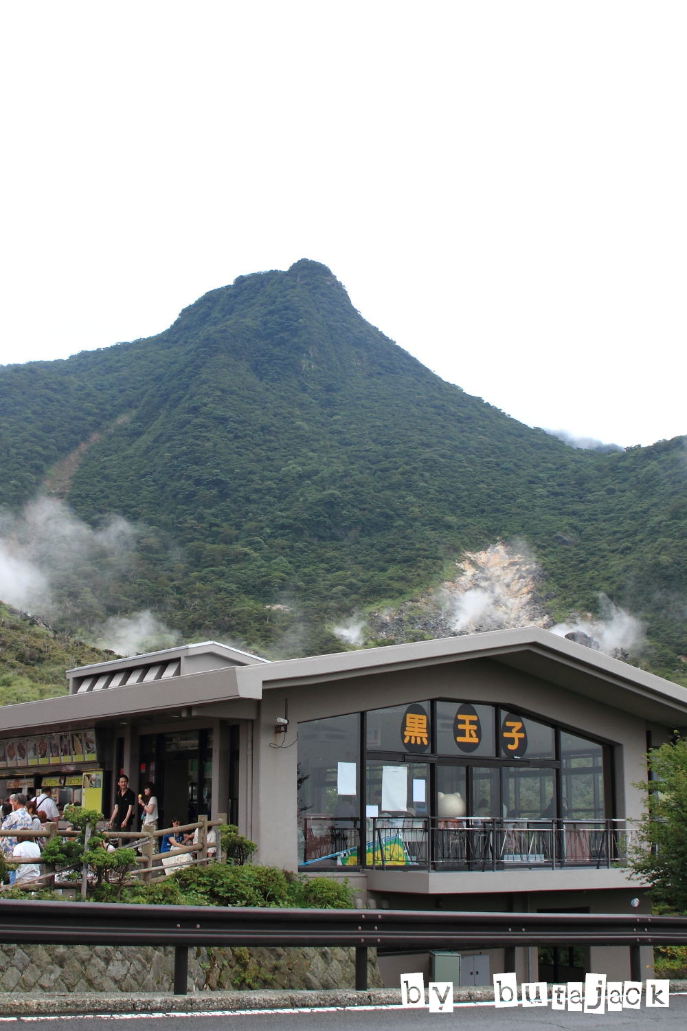 箱根方面家族旅行・・・ラスト_e0220828_12161284.jpg