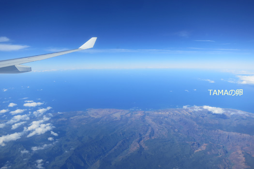 c0024729_16325085.jpg