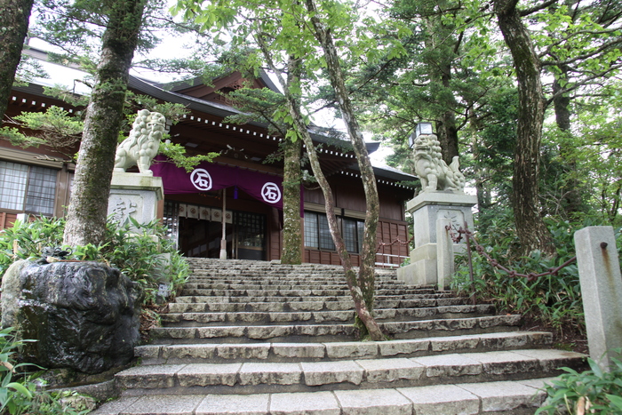 四国の山 (桑瀬峠・・・岩屋寺）_c0115938_21185256.jpg