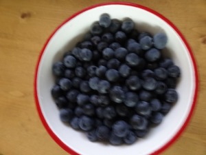 桃色のトルコキキョウ_d0165645_1291290.jpg