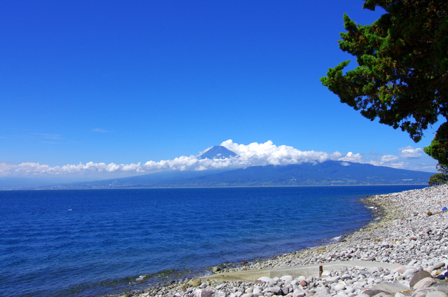 西伊豆の海と富士山_d0186245_043756.jpg