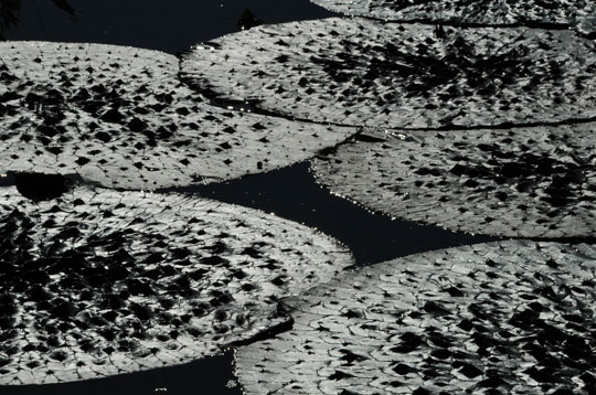 c0093046_16385967.jpg