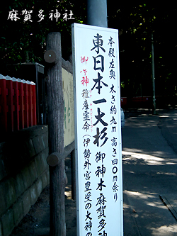 f0224855_20293836.jpg