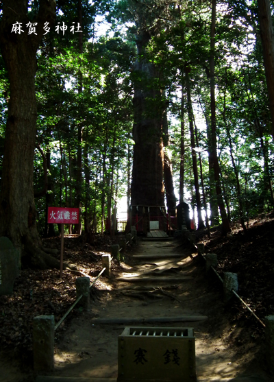 f0224855_203220100.jpg