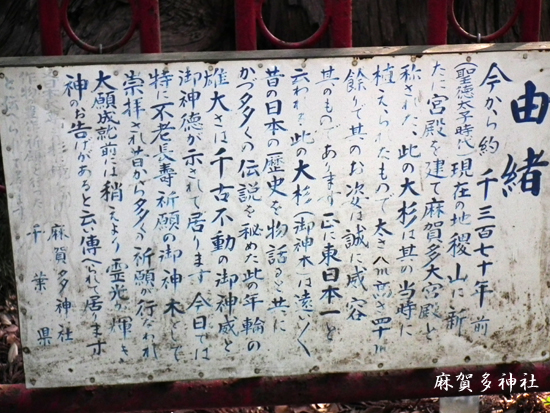 f0224855_2033997.jpg