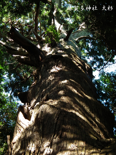 f0224855_20342311.jpg