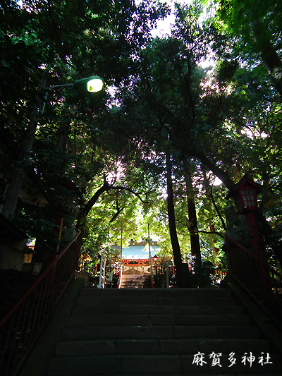 f0224855_2093292.jpg