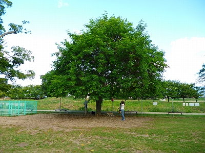 e0002466_18152932.jpg