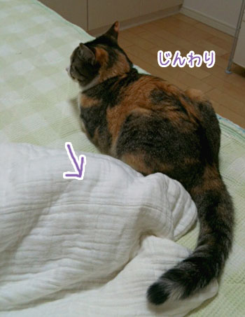 a0119470_10181643.jpg