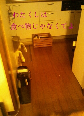 f0238772_2240409.jpg