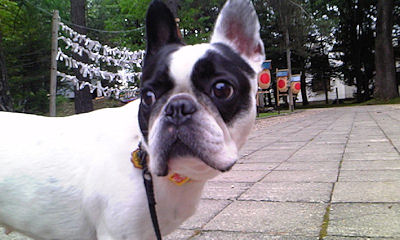 b0056476_11555753.jpg