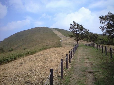 九州随一のカルスト台地　（平尾台、千仏鍾乳洞）_b0005281_121579.jpg