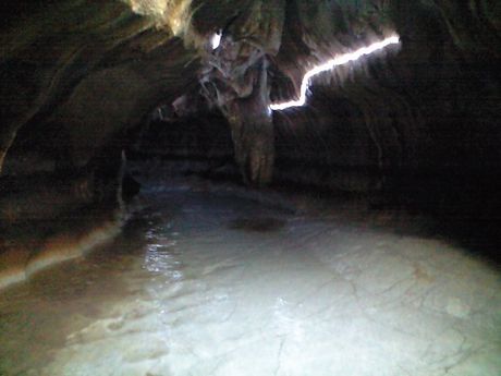 九州随一のカルスト台地　（平尾台、千仏鍾乳洞）_b0005281_1235100.jpg