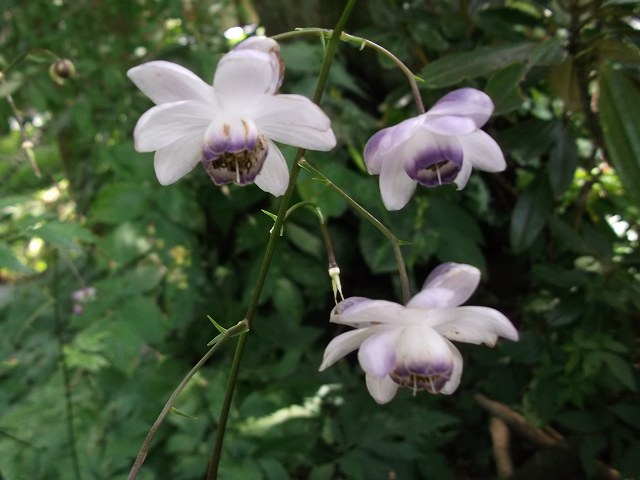 c0212083_235519.jpg