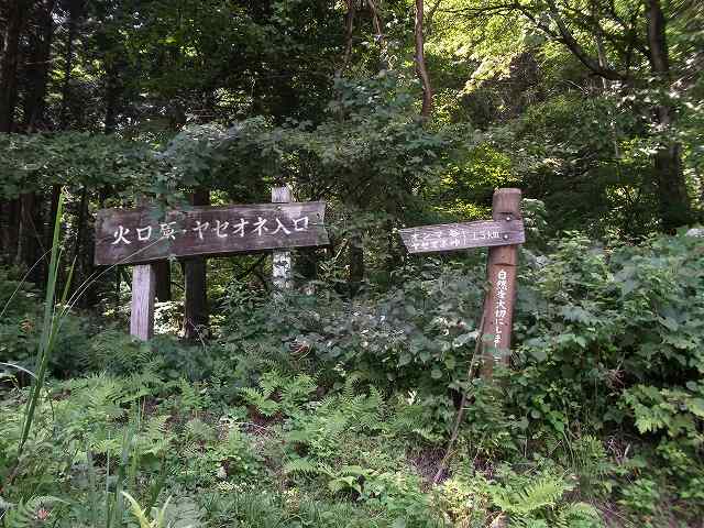 c0212083_2384340.jpg