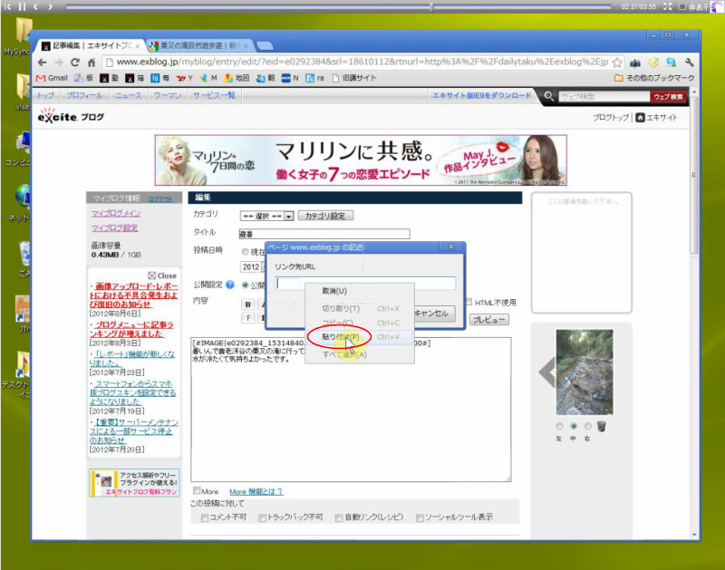 08_リンクの貼り付け_e0272083_1925776.jpg