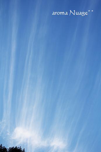 c0212785_527685.jpg