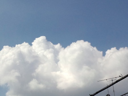 f0091785_1829416.jpg