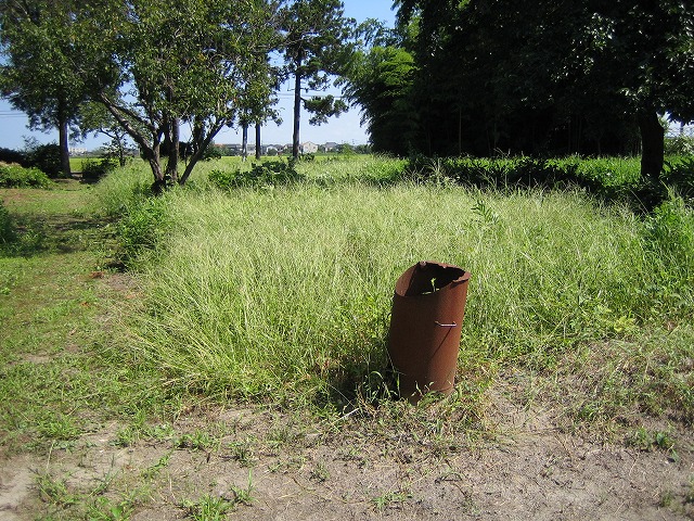 除草剤 ラウンドアップ の効果は 新発田市西宮内 佐々木家のブログ 除草剤 ラウンドアップ の効果は 新発田市西宮内 佐々木家のブログ