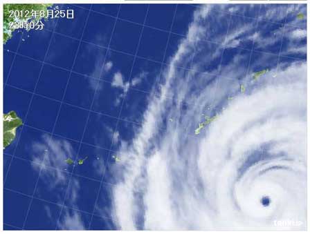 台風１５号　沖縄県 東村の予報データ_e0028387_043275.jpg