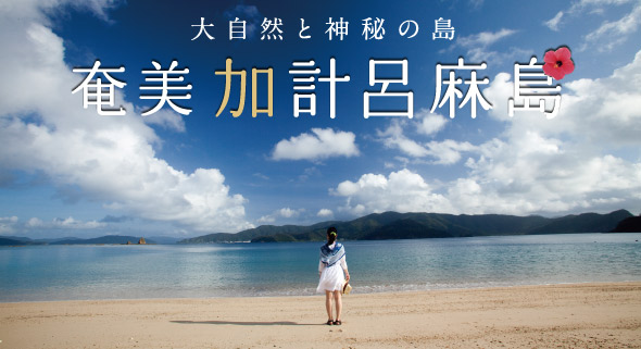 奄美大島「カケロマ女子旅」モニターツアー、締切は８月３１日！_e0028387_12252243.jpg