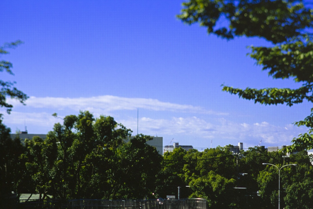 b0188590_93206.jpg