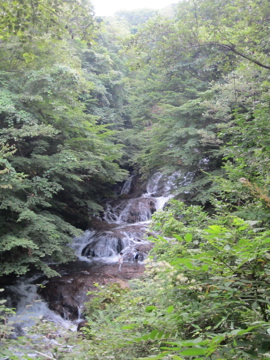 a0117599_24311.jpg