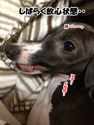 e0290901_2219521.png
