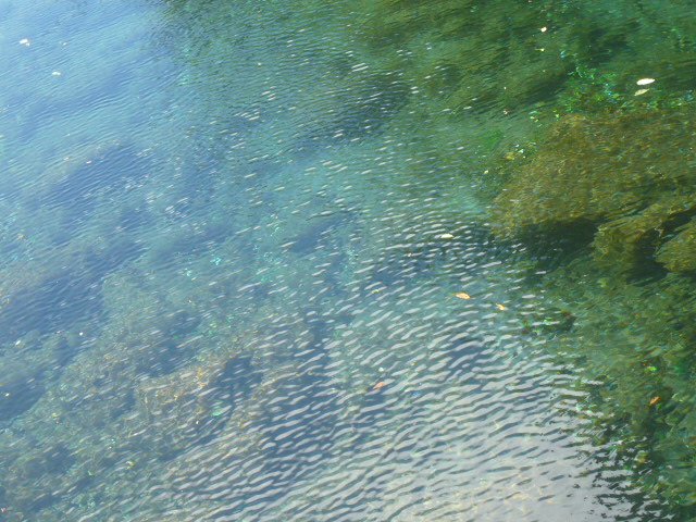 d0131804_22165934.jpg