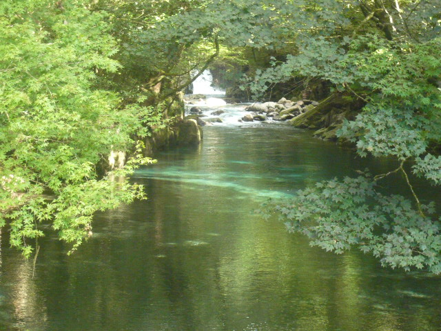 d0131804_2220881.jpg