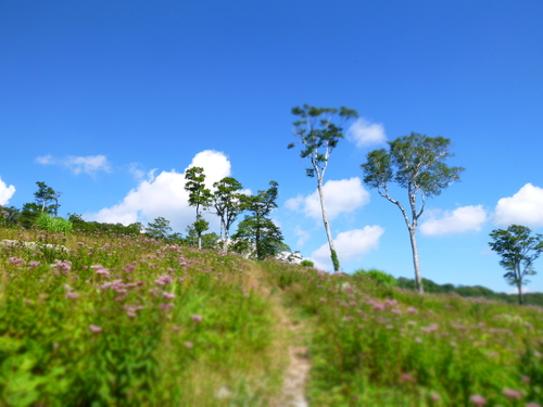 2012　鹿俣山登山！_a0236914_7151553.jpg