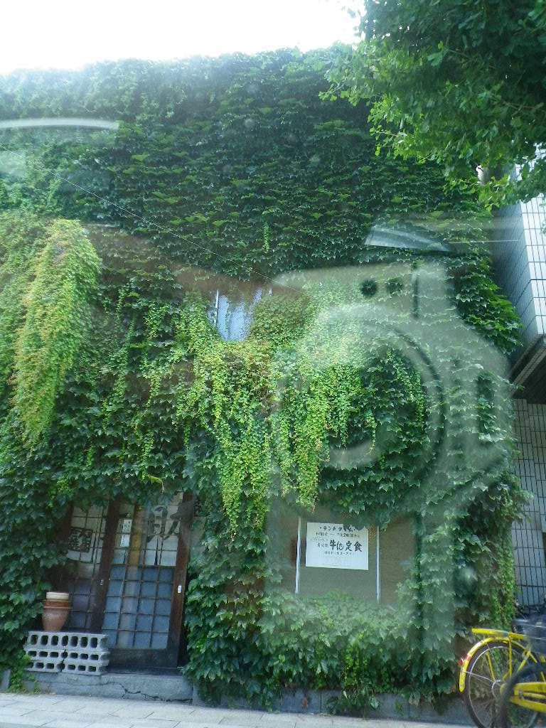 e0052716_13415276.jpg