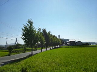 b0247223_17593897.jpg
