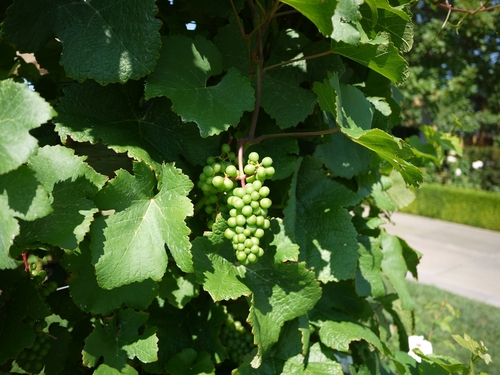 b0221428_1250714.jpg