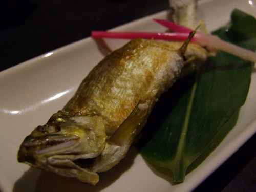 「島根県・松江 カフェ庵タンドールのランチ」_a0000029_0174213.jpg