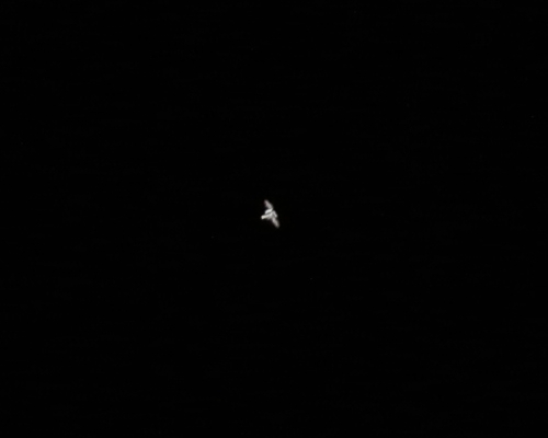 e0089232_19511415.jpg