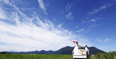 車と一緒に結婚前撮り写真★記念写真★軽トラックのウェディングフォト★_a0174233_1219353.jpg