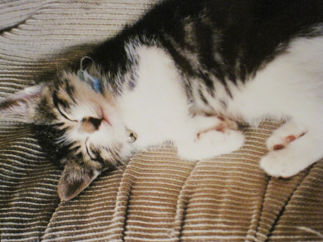 c0239833_20315150.jpg