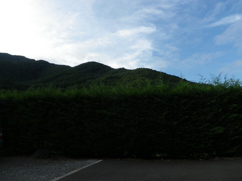 d0159033_9311340.jpg