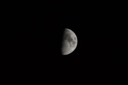 f0038336_785760.jpg