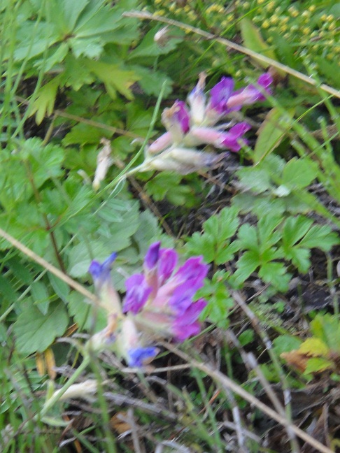 b0127538_15513358.jpg